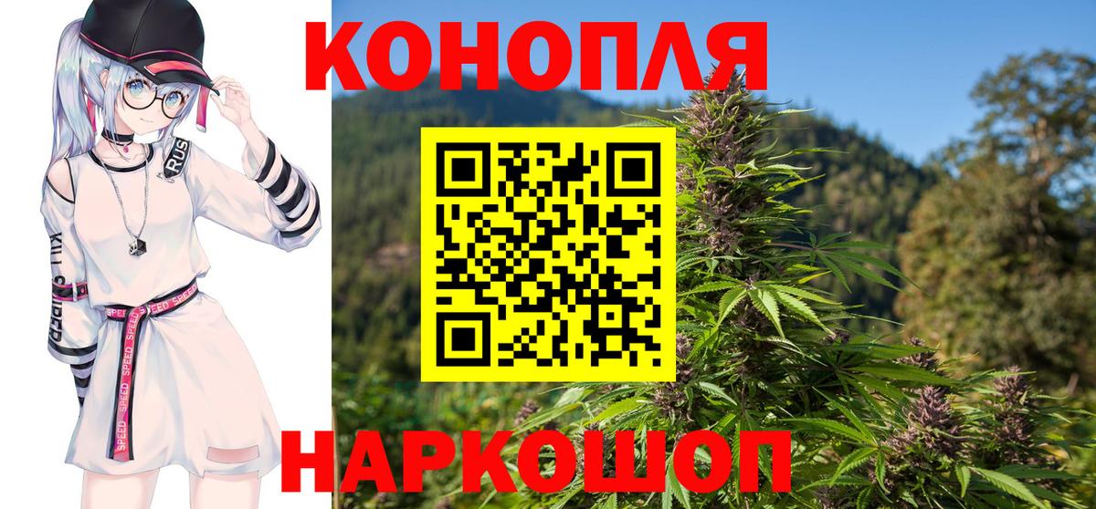 Каннабис семена  Шишки марихуана конопля  МАРИХУАНА THC 21%  Вход с VPN  Артём  Бошки Шишки планчик 